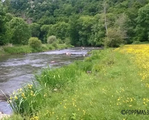 Parcours Toyères