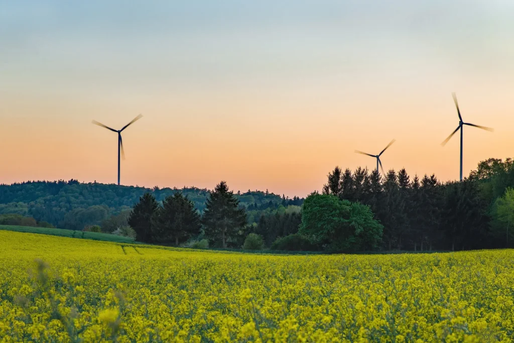 revitalisation écologique