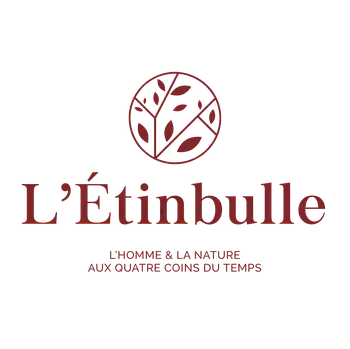 65d6323bd4cbf6c782d0aaf566e968b6 LÉtinbull